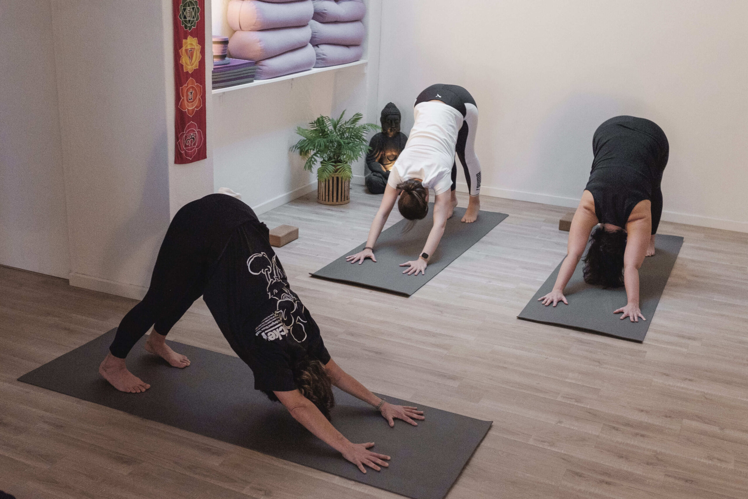 Yoga para la espalda